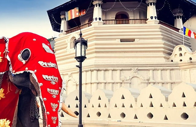 Alquiler de coche con conductor en Colombo - Foto 10