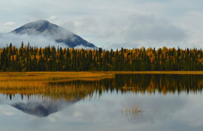 Excursión al lago Clark en avioneta + Avistamiento de osos - Foto 6