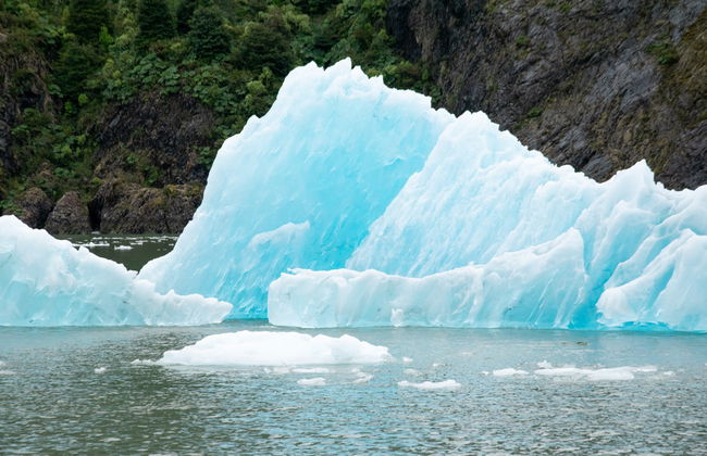 Excursión al Parque Nacional Laguna San Rafael - Foto 7