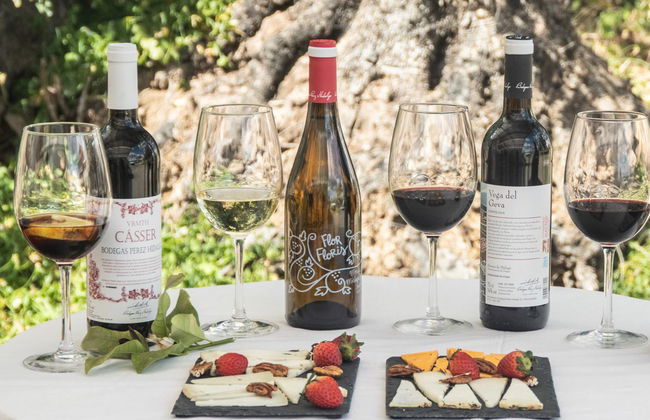 Visita a las bodegas Pérez Hidalgo - Photo 4