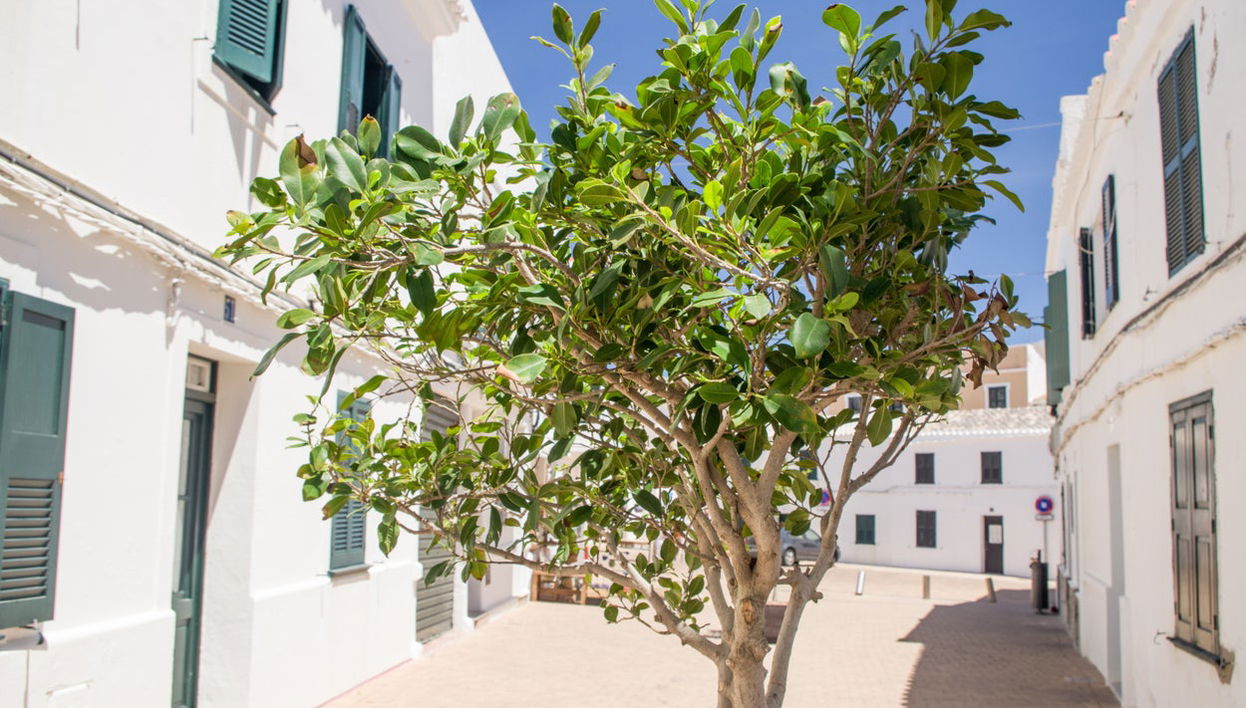 Tour de Menorca, la vuelta a la isla - Photo 1