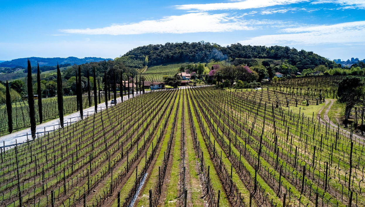 Excursão a Bento Gonçalves e Garibaldi - Foto 1