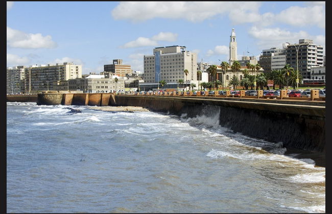 Tour privado por Montevideo - Foto 2