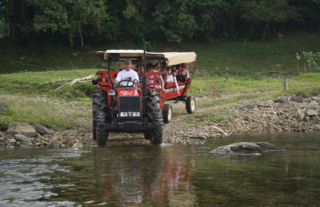 Tour rural por Joinville - Foto 1