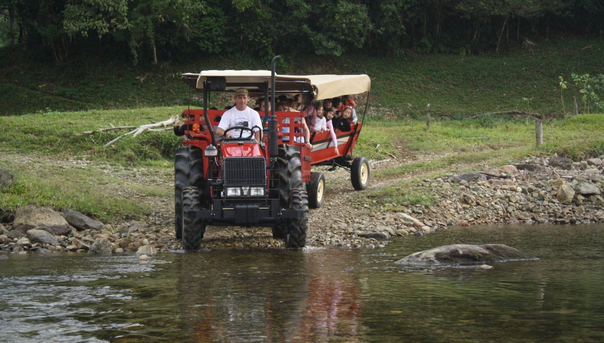 Tour rural por Joinville - Foto 1