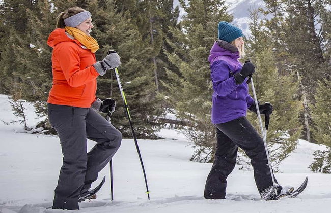 Paseo con raquetas de nieve por Banff - Foto 7