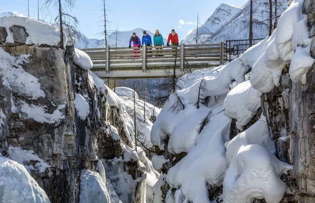 Paseo con raquetas de nieve por Banff - Foto 3