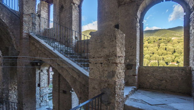 Pisciotta Guided Tour - Foto 3