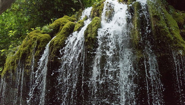 Hair of Venus Waterfalls Excursion - Foto 4