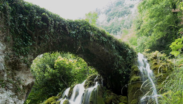 Hair of Venus Waterfalls Excursion - Foto 3