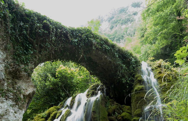 Hair of Venus Waterfalls Excursion - Foto 3