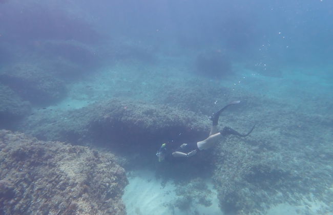 Snorkel en la Reserva Marina Cala Delta - Foto 5