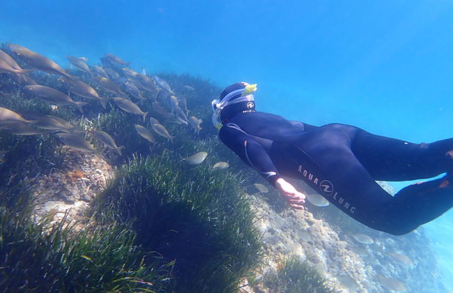 Snorkel en la Reserva Marina Cala Delta - Foto 4