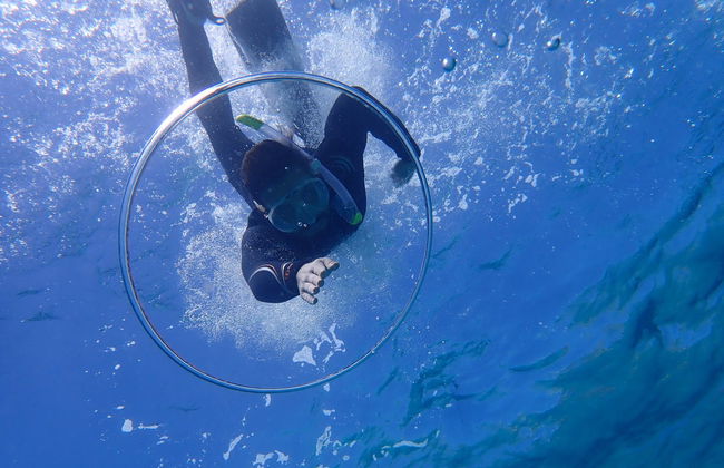 Snorkel en la Reserva Marina Cala Delta - Foto 3