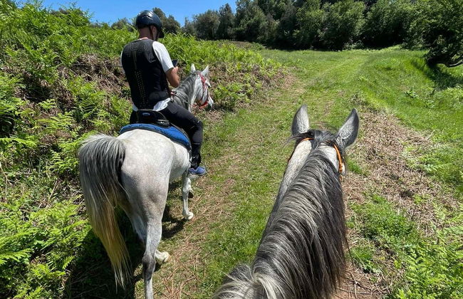 Paseo a caballo por la Garrocha - Foto 5