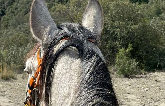 Balade à cheval à La Garrocha - Photo 8