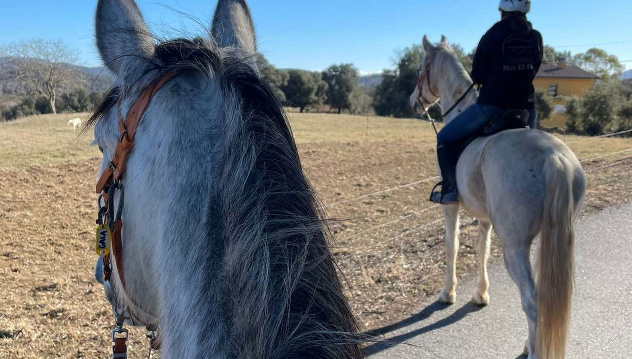 Paseo a caballo por la Garrocha - Foto 1