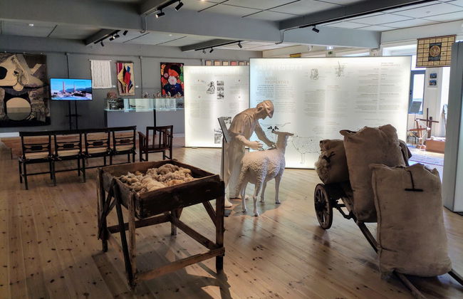 Visita guiada por el Museo Industrial y Artesanal del Textil - Foto 4