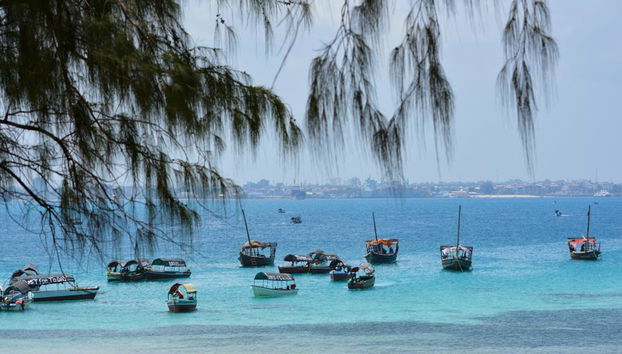 Recorrido por Stone Town - Foto 2