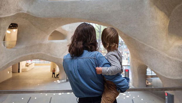 Entrada al Museo Americano de Historia Natural - Foto 3