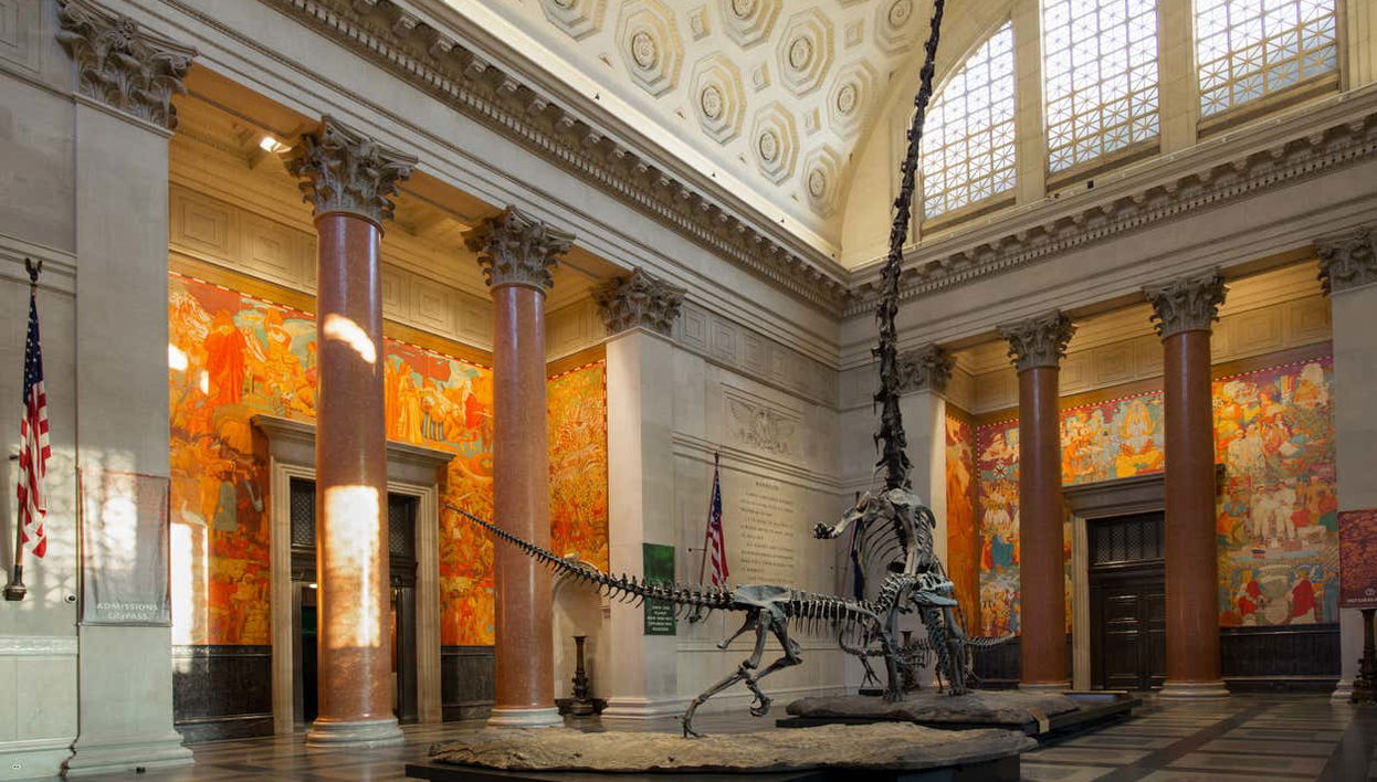 Entrada al Museo Americano de Historia Natural - Foto 1