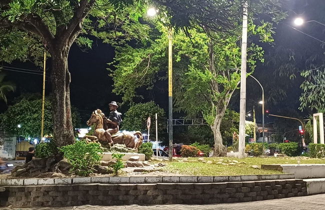 Tour panorámico por Neiva + Clase de baile folclórico - Foto 2