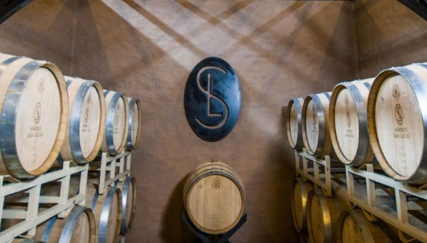 Excursion à San Miguel Allende + Visite d'un domaine viticole - Photo 3