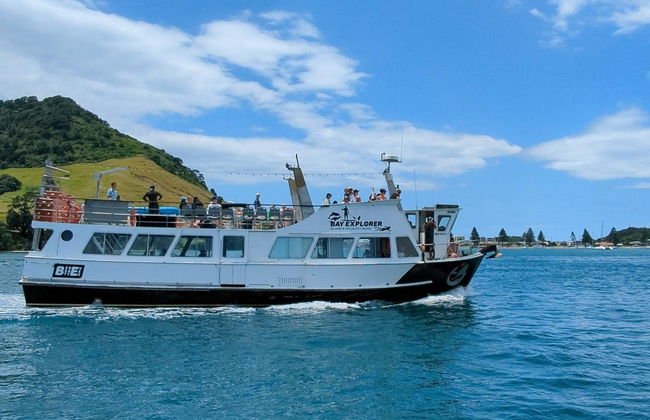 Avistamiento de delfines en Tauranga - Foto 4