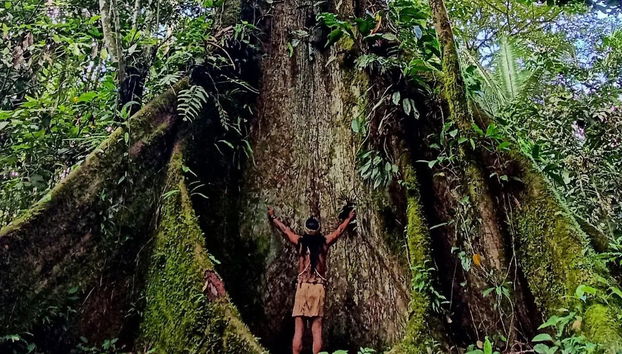 Puerto Misahuallí Multi-Day Tour - Foto 2