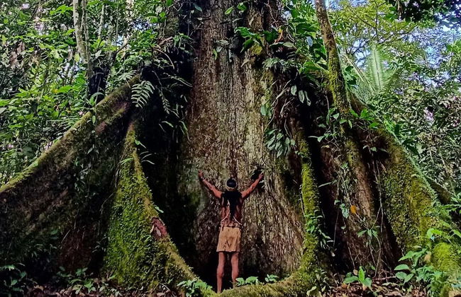 Tour de 2, 3, 4 o 5 días por Puerto Misahuallí - Foto 1