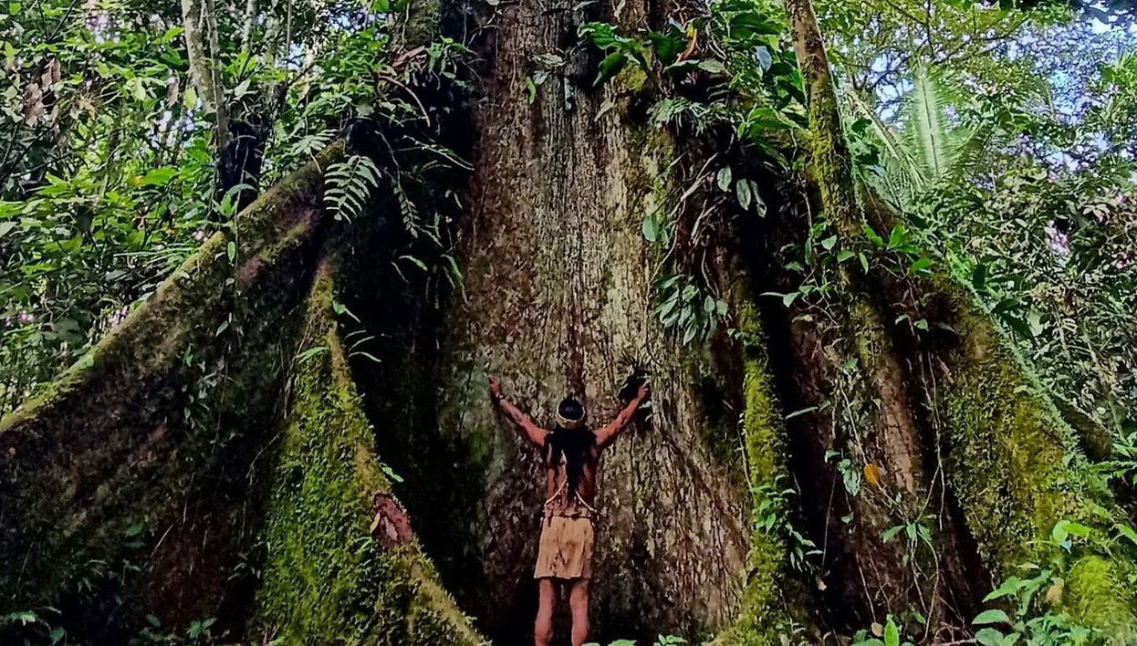 Tour de 2, 3, 4 o 5 días por Puerto Misahuallí - Foto 1