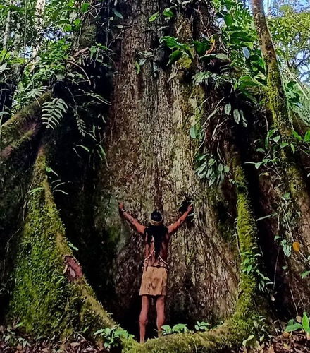 Foto de Tour de 2, 3, 4 o 5 días por Puerto Misahuallí