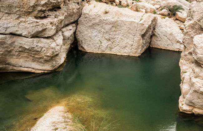 Wadi Bani Khalid + Wahiba Sands Private Day Trip - Foto 5