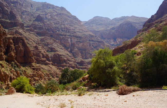 Wadi Bani Khalid + Wahiba Sands Private Day Trip - Foto 7