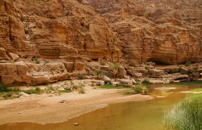 Wadi Bani Khalid + Wahiba Sands Private Day Trip - Foto 6