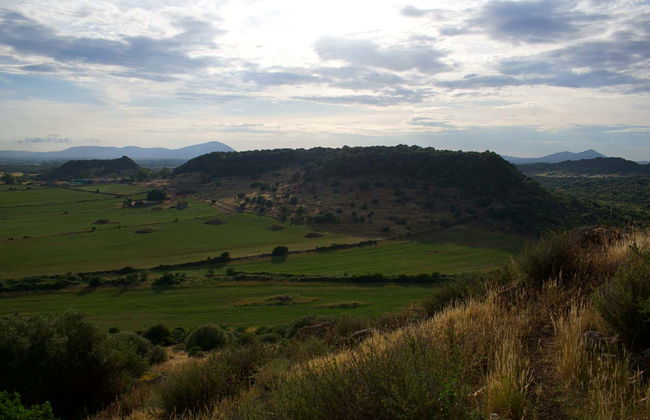 Olmedo Saffron Tour - Photo 4