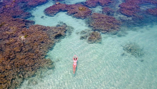 Passeio de lancha pelas piscinas naturais de Maragogi - Foto 2