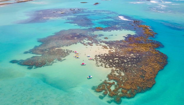 Passeio de lancha pelas piscinas naturais de Maragogi - Foto 4