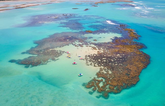 Passeio de lancha pelas piscinas naturais de Maragogi - Foto 4
