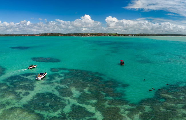Passeio de lancha pelas piscinas naturais de Maragogi - Foto 3