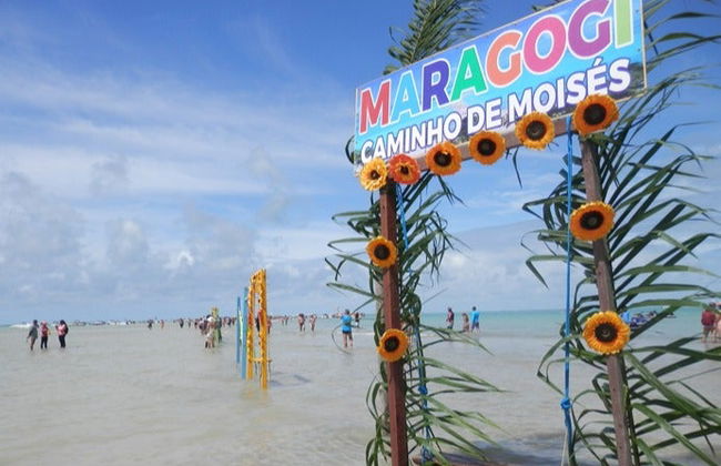 Passeio de lancha pelas piscinas naturais de Maragogi - Foto 6