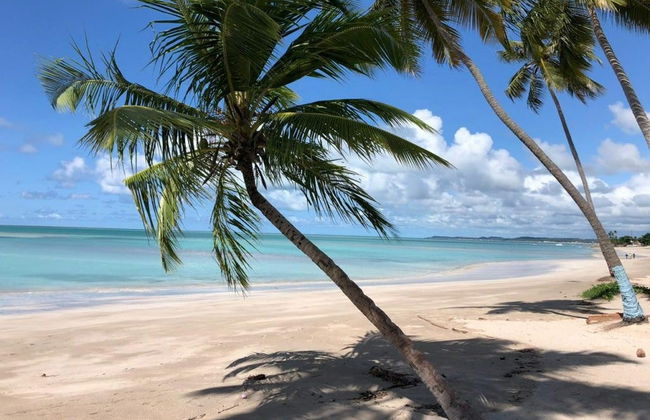 Passeio de lancha pelas piscinas naturais de Maragogi - Foto 7