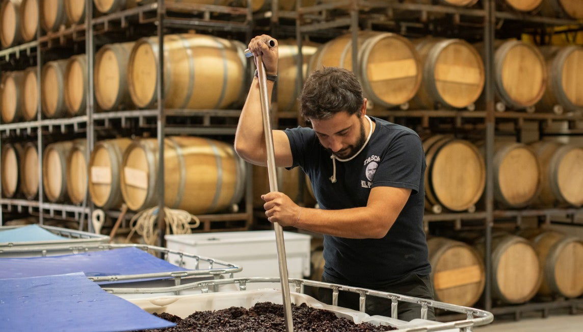 Visita a las bodegas Bigardo - Foto 1