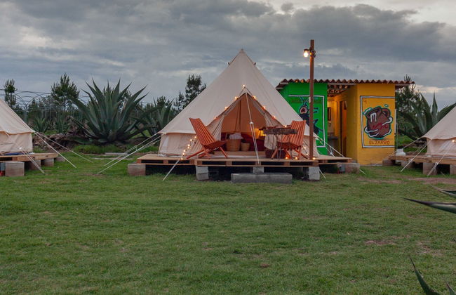 Noche en el Santuario de las Luciérnagas - Foto 7