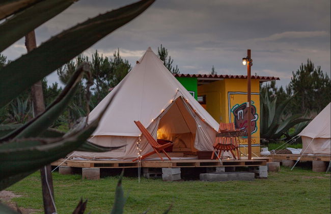 Noche en el Santuario de las Luciérnagas - Foto 2