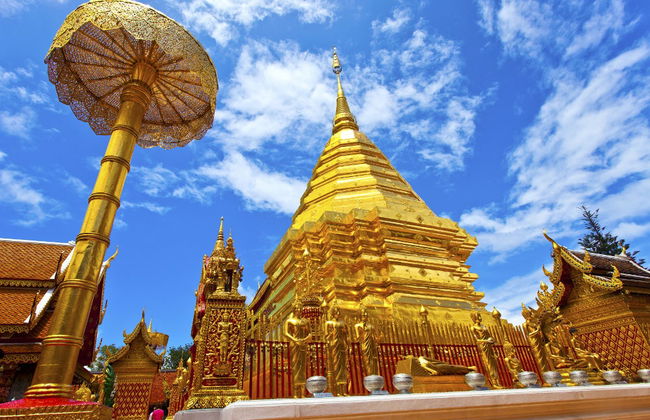 Tour privato di Doi Suthep e Wat Pha Lat - Foto 1