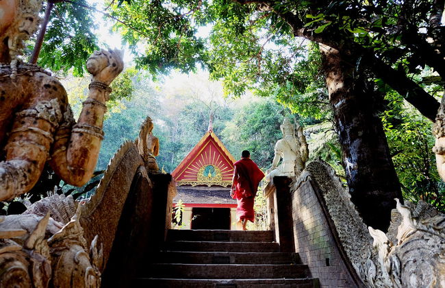 Tour privato di Doi Suthep e Wat Pha Lat - Foto 6