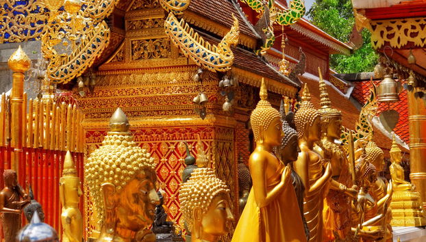Tour privado por Doi Suthep e Wat Pha Lat - Foto 4