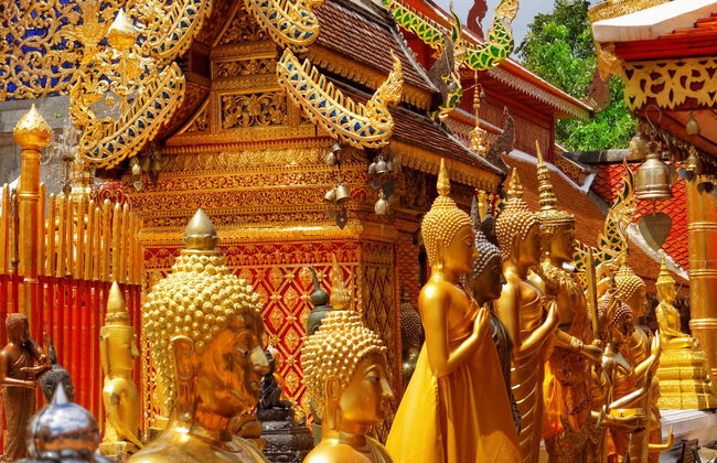 Tour privato di Doi Suthep e Wat Pha Lat - Foto 4