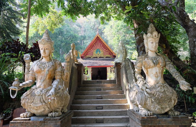 Tour privato di Doi Suthep e Wat Pha Lat - Foto 5